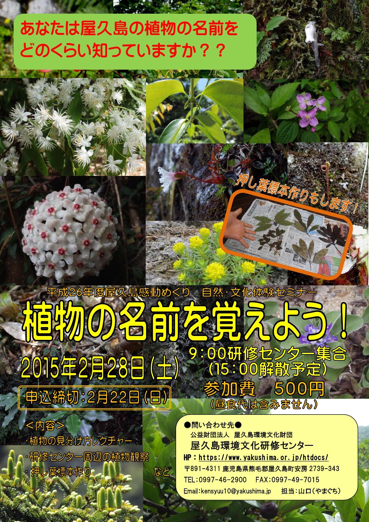 植物の名前を覚えよう！