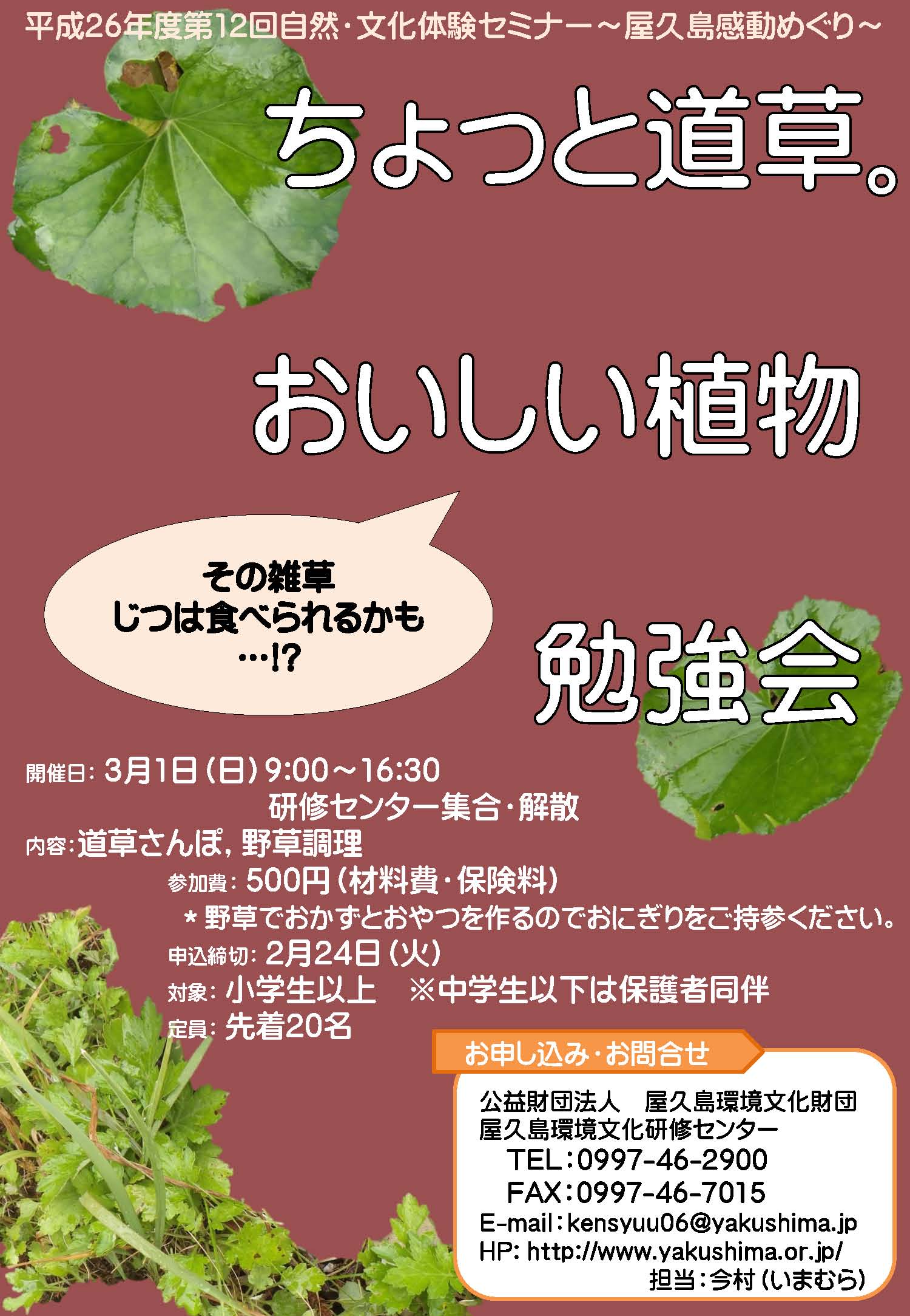 ちょっと道草。おいしい植物勉強会