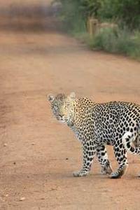 テストイベント